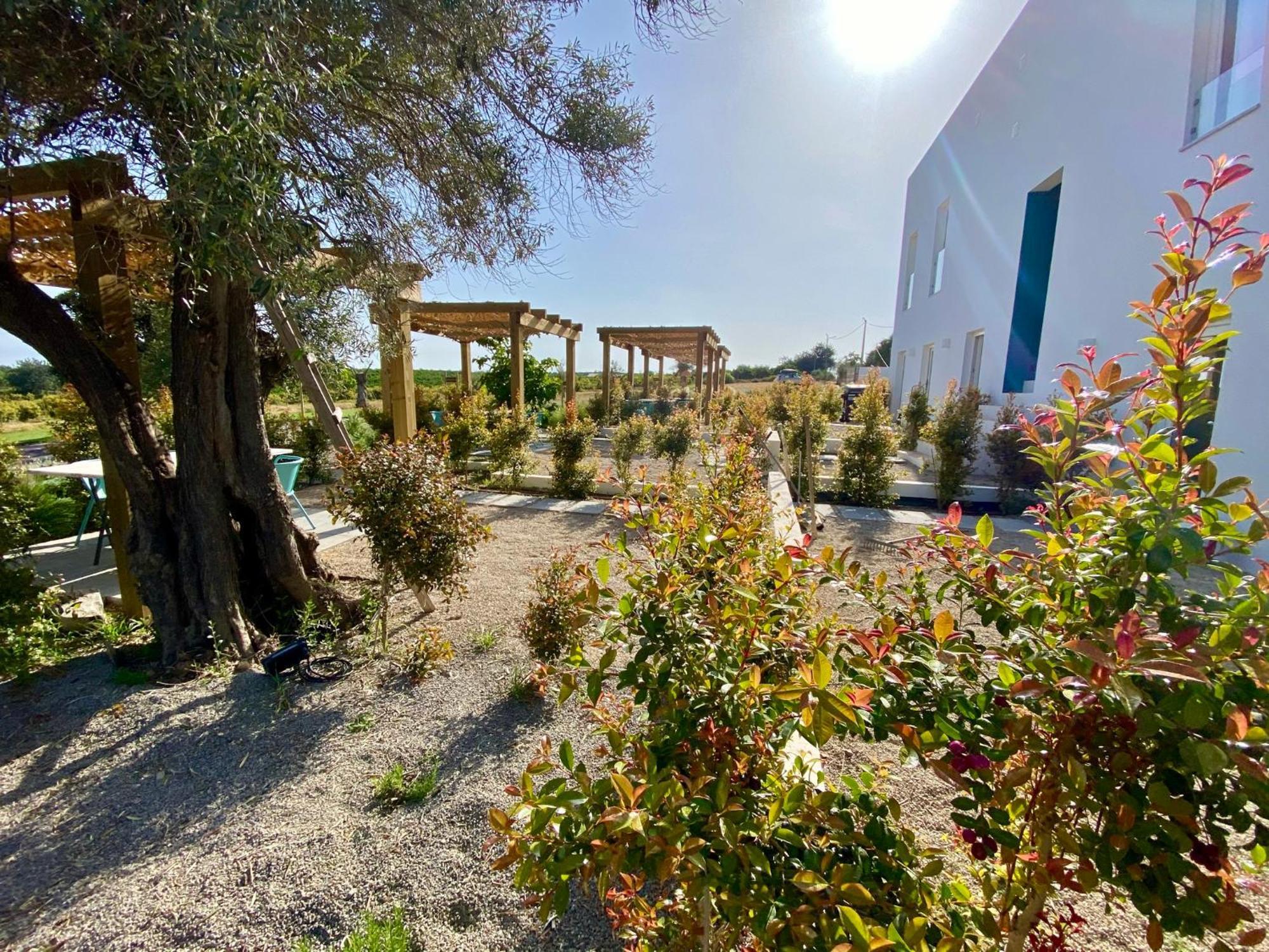 Villa Tavira-Quinta Da Janela Azul Exterior foto