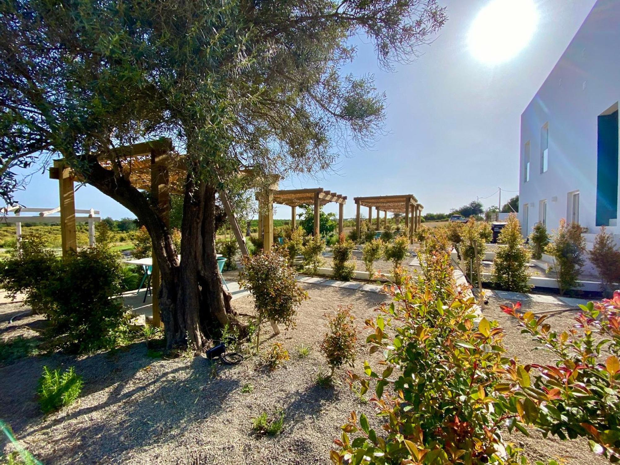 Villa Tavira-Quinta Da Janela Azul Exterior foto